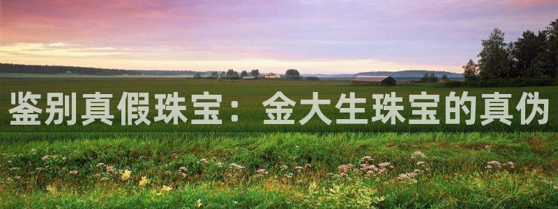 新宝5直属：鉴别真假珠宝：金大生珠宝的真伪