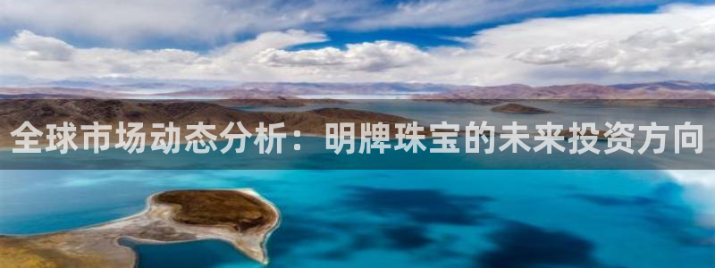 新宝b2O5O5O：全球市场动态分析：明牌珠宝的未来投资方向