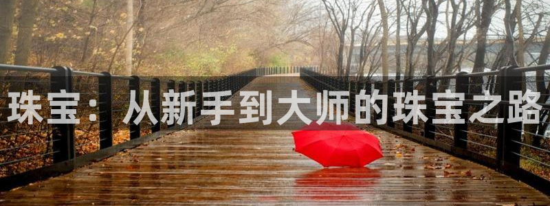新宝5注册登录：珠宝：从新手到大师的珠宝之路