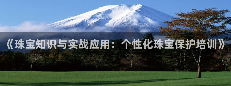 新宝5注册流程：《珠宝知识与实战应用：个性化珠宝保护培训》