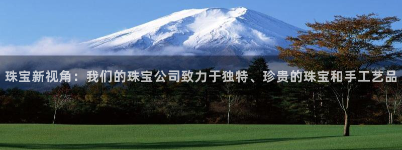新宝5 测速：珠宝新视角：我们的珠宝公司致力于独特、珍贵的珠宝和手工艺品