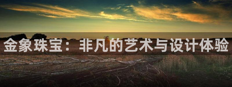 新宝5彩票娱乐平台：金象珠宝：非凡的艺术与设计体验