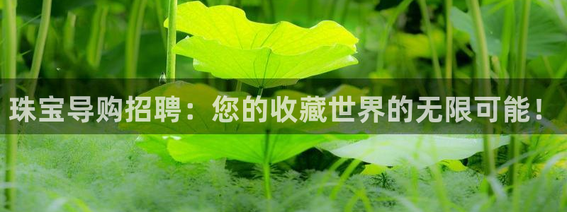 新宝5娱乐如：珠宝导购招聘：您的收藏世界的无限可能！