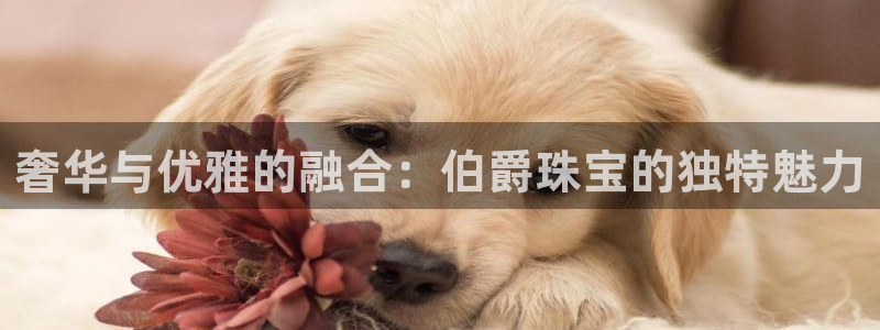 新宝5平棋牌：奢华与优雅的融合：伯爵珠宝的独特魅力