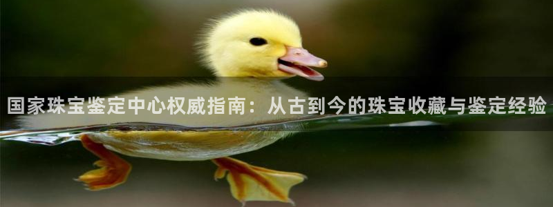 新宝测速5：国家珠宝鉴定中心权威指南：从古到今的珠宝收藏与鉴定经验