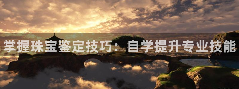 有人知道新宝5么：掌握珠宝鉴定技巧：自学提升专业技能