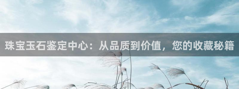 新宝5吴74OOO5：珠宝玉石鉴定中心：从品质到价值，您的收藏秘籍