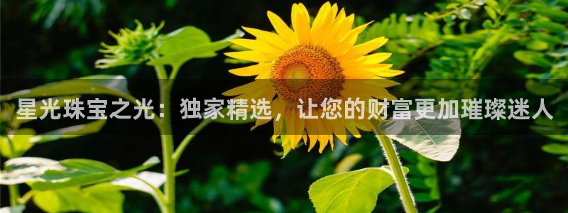p5r新宝魔：星光珠宝之光：独家精选，让您的财富更加璀璨迷人