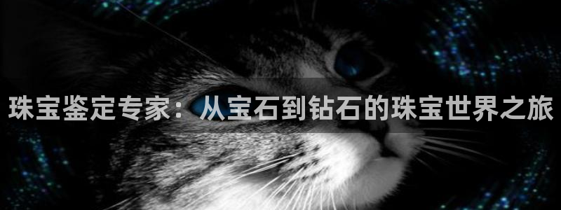 新宝5娱乐如：珠宝鉴定专家：从宝石到钻石的珠宝世界之旅