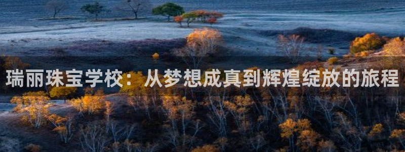 新宝5直属：瑞丽珠宝学校：从梦想成真到辉煌绽放的旅程