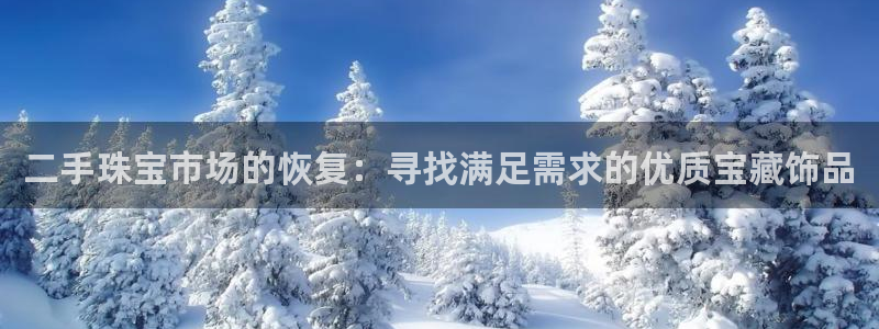 新宝5娱乐然：二手珠宝市场的恢复：寻找满足需求的优质宝藏饰品