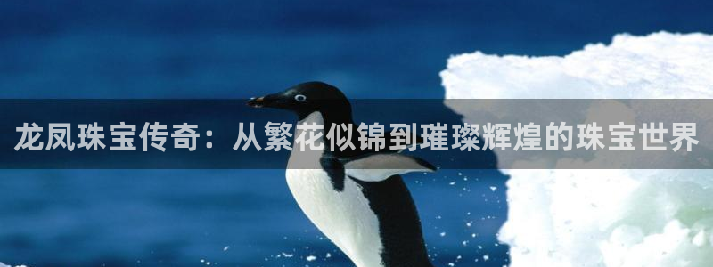 新宝5_测：龙凤珠宝传奇：从繁花似锦到璀璨辉煌的珠宝世界