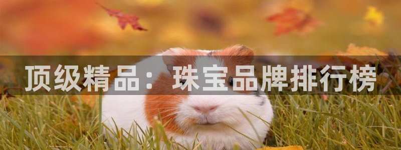 新宝5卫74OOO5：顶级精品：珠宝品牌排行榜