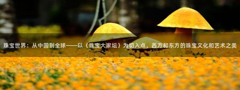 新宝5下载app：珠宝世界：从中国到全球——以〈珠宝大家坛〉为切入点，西方和东方