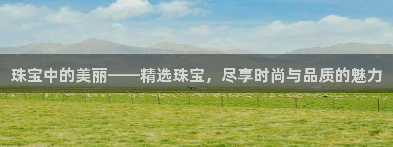 新宝5吕74OOO5：珠宝中的美丽——精选珠宝，尽享时尚与品质的魅力