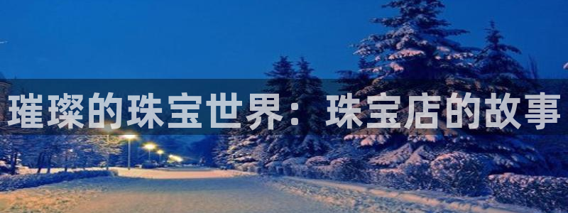 新宝5卫74OOO5：璀璨的珠宝世界：珠宝店的故事