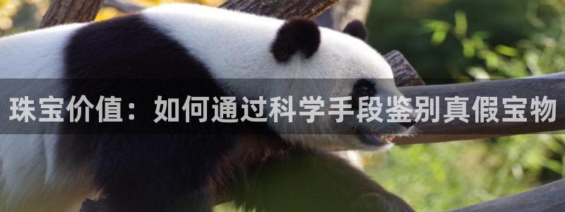 新宝5_测：珠宝价值：如何通过科学手段鉴别真假宝物