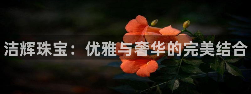 新宝5测试：洁辉珠宝：优雅与奢华的完美结合
