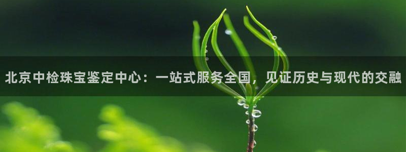 新宝5线路：北京中检珠宝鉴定中心：一站式服务全国，见证历史与现代的交融