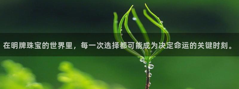 新宝集团新宝5：在明牌珠宝的世界里，每一次选择都可能成为决定命运的关键时刻。