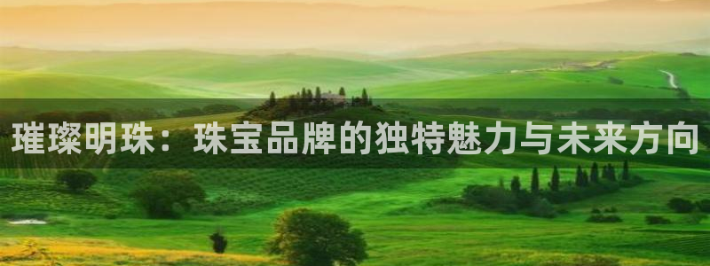新宝5客户端登录：璀璨明珠：珠宝品牌的独特魅力与未来方向