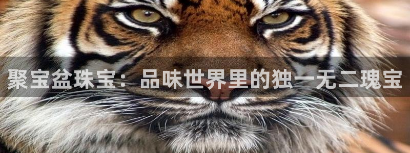 新宝5娱乐登陆：聚宝盆珠宝：品味世界里的独一无二瑰宝