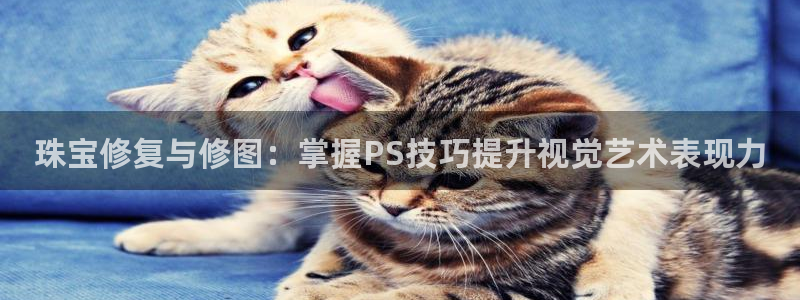新宝5挂机：珠宝修复与修图：掌握PS技巧提升视觉艺术表现力