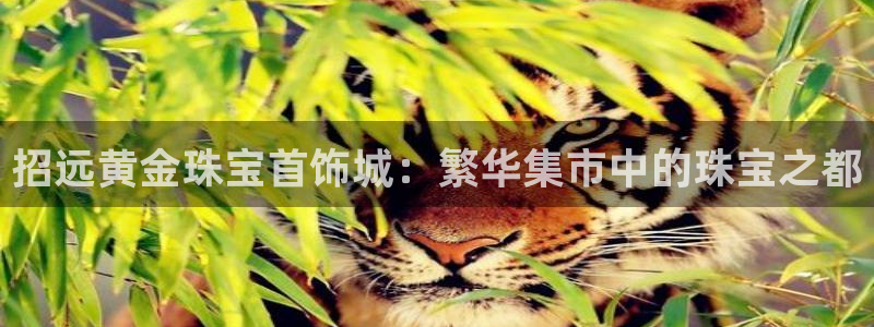 新宝5首页：招远黄金珠宝首饰城：繁华集市中的珠宝之都