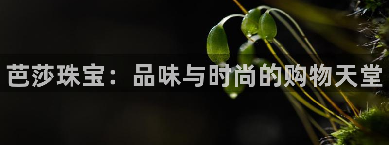 新宝5湫333 00：芭莎珠宝：品味与时尚的购物天堂