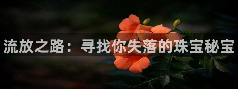 新宝5X：流放之路：寻找你失落的珠宝秘宝