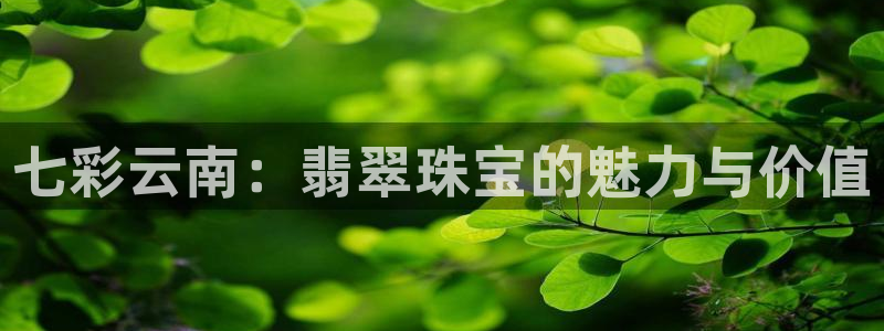 新宝5注册链接：七彩云南：翡翠珠宝的魅力与价值
