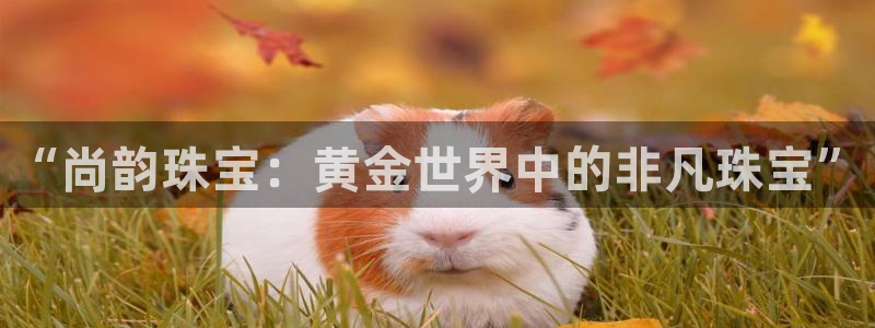 新宝5测登录：“尚韵珠宝：黄金世界中的非凡珠宝”