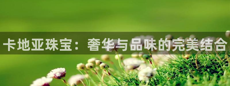 新宝5公司：卡地亚珠宝：奢华与品味的完美结合