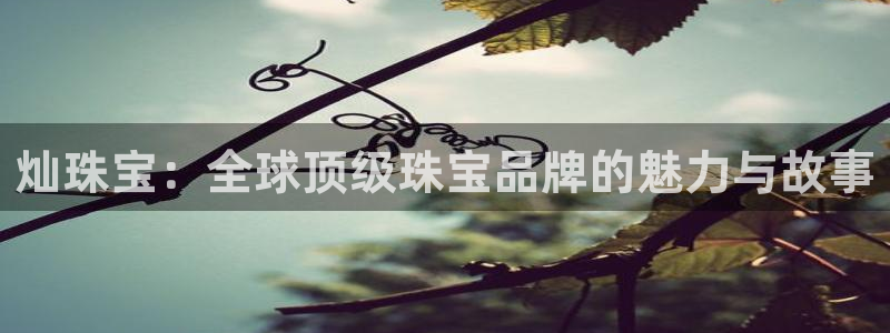新宝5卫74OOO5：灿珠宝：全球顶级珠宝品牌的魅力与故事