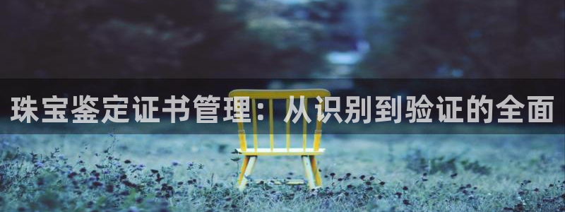 新宝5平台登陆：珠宝鉴定证书管理：从识别到验证的全面