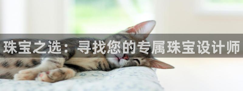新宝G5：珠宝之选：寻找您的专属珠宝设计师