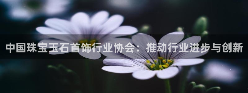 新宝5如何注册登录：中国珠宝玉石首饰行业协会：推动行业进步与创新