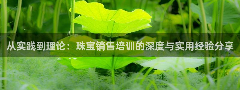 新宝5的网址：从实践到理论：珠宝销售培训的深度与实用经验分享