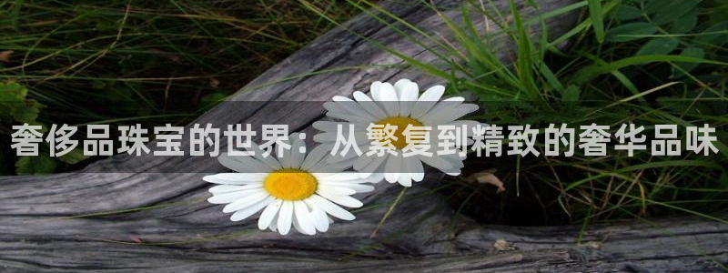 新宝5测：奢侈品珠宝的世界：从繁复到精致的奢华品味
