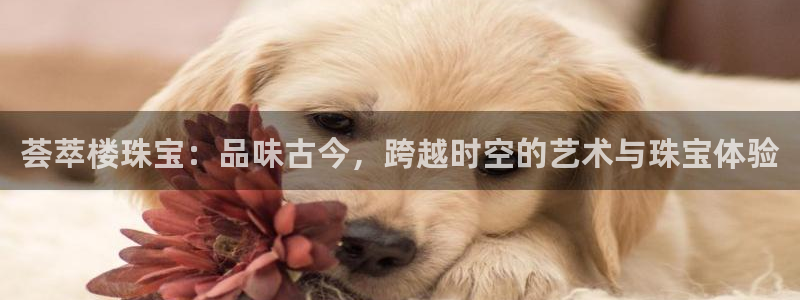 有人知道新宝5么：荟萃楼珠宝：品味古今，跨越时空的艺术与珠宝体验