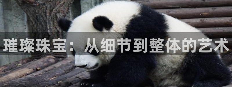 新宝股东张听2 5 5：璀璨珠宝：从细节到整体的艺术