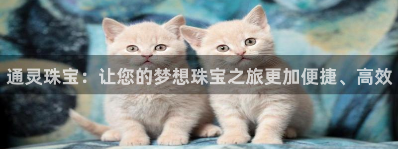 新宝5如何注册登录：通灵珠宝：让您的梦想珠宝之旅更加便捷、高效