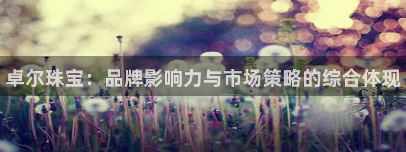 新宝堂新会陈皮5年：卓尔珠宝：品牌影响力与市场策略的综合体现