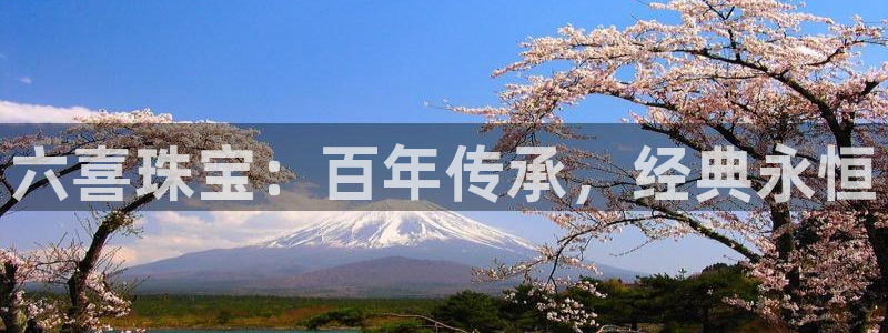 新宝rm5：六喜珠宝：百年传承，经典永恒